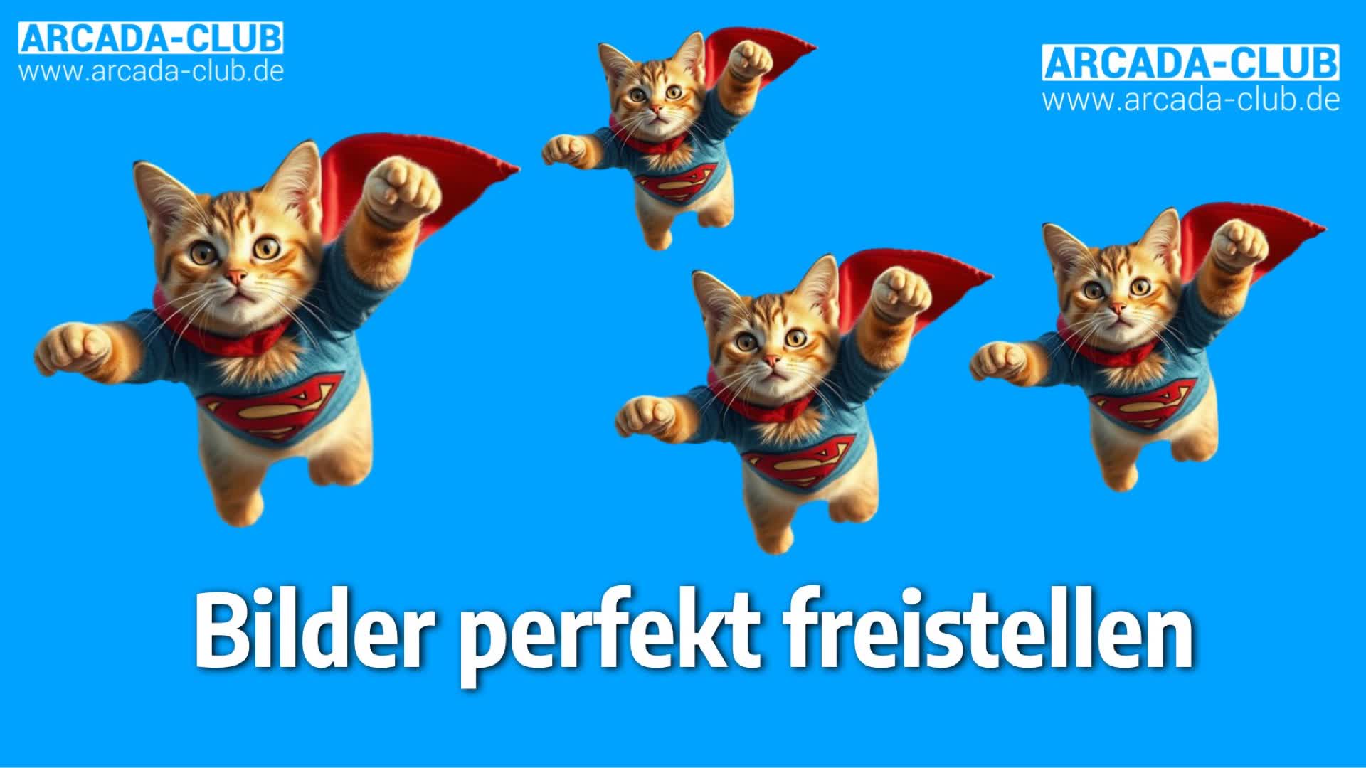 Bilder perfekt freistellen